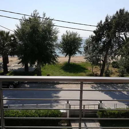 Beachfront Casual Luxury In *