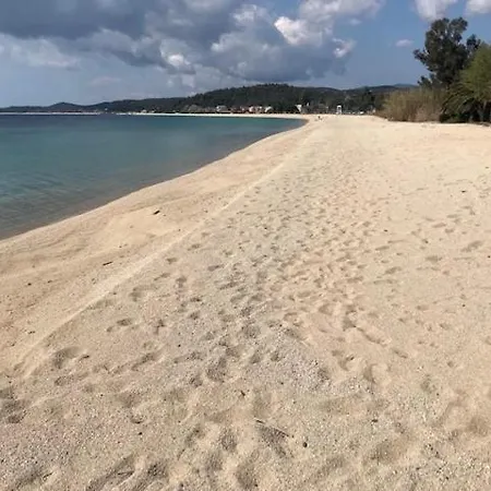 Beachfront Casual Luxury In *